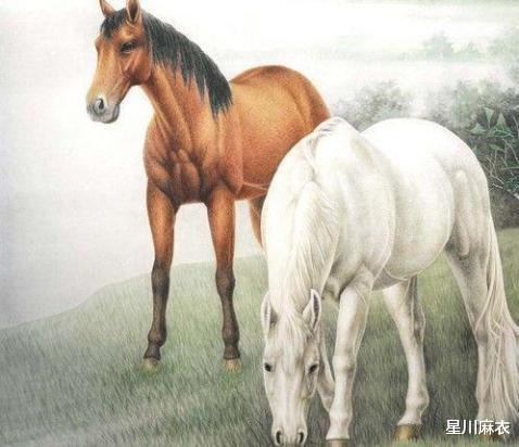 属马今年多大年龄:2023年属马人年龄解析,从少年到中年的成长密码 属马今年多大年龄:2023年属马人年龄解析,从少年到中年的成长密码