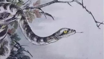 属蛇36岁开始走大运：属蛇36岁起运指南，命理转折点与人生机遇全解析