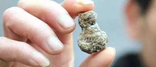 什么中药化结石最厉害：中药治疗结石，哪种中药最厉害？