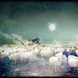 梦见蚂蝗钻进自己的身体：解密梦境，当蚂蝗钻入身体，你的潜意识在告诉你什么？