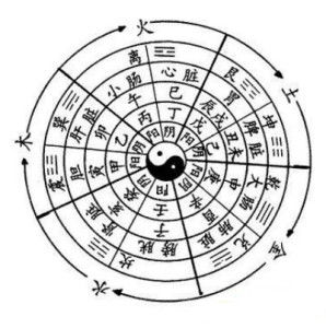 1986年五行属什么：1986年五行属火木，丙寅年命理特征与生活启示