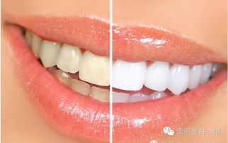 梦见牙齿掉了并吐一把：解梦启示录，牙齿脱落与吐出碎齿的深层隐喻