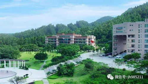 广州番禺职业技术学校2024年招生（广州番禺职业技术学院2021招生简章）