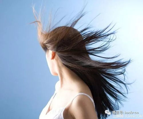 女人梦见自己掉头发：女人梦见自己掉头发，焦虑的隐喻还是自我重塑的契机？