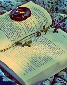 梦见死去的长辈预示着什么：梦见死去的长辈预示着什么？从心理学与传统文化视角解读