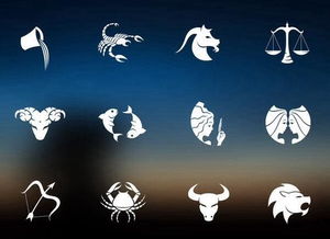 第一星座网星座运势查询：第一星座网星座运势查询，精准占星服务，开启你的每日运势指南