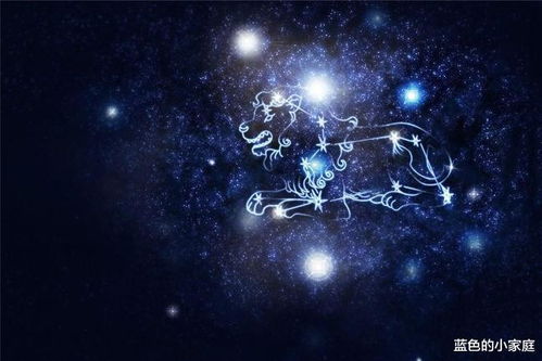 十二星座海王排名：十二星座海王排名，谁才是情场浪子天花板？