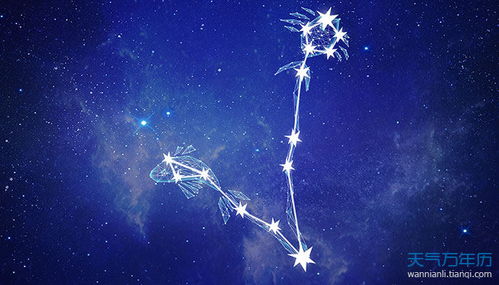 天蝎座2025真爱是双鱼女吗：2025年天蝎座真爱是双鱼女？精准预测你的宿命级情感共鸣