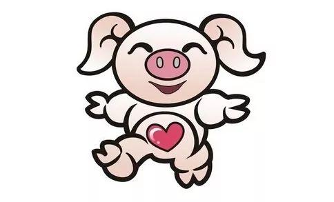 2019是什么生肖：2019年属猪？生肖年份与传统文化解读，公历与农历的时空对话