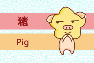 2019是什么生肖：2019年属猪？生肖年份与传统文化解读，公历与农历的时空对话