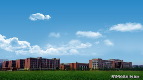 四川公办专科学校有哪些（四川内的公办专科学校有哪些?）