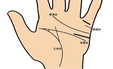 免费算命不付费手相：免费算命不付费手相，揭秘掌纹中的命运密码与实用建议