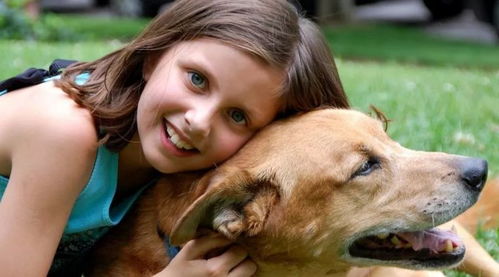 梦见狗咬到左手出血了：梦中惊魂，被狗咬伤的左手，是潜意识的警示还是内心的隐痛？