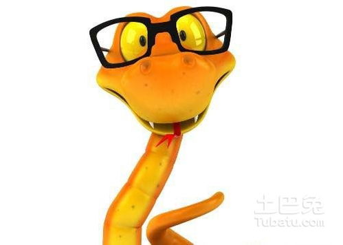 女人梦见蛇咬手预示着什么:女人梦见蛇咬手,潜意识中的警示与启示