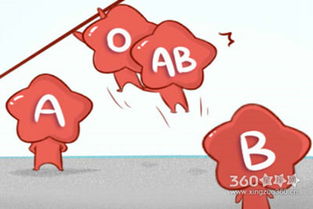 o型血有什么优点和缺点:O型血,性格与健康背后的双面性