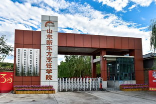 欧拉函数计算:欧拉函数计算方法与应用解析