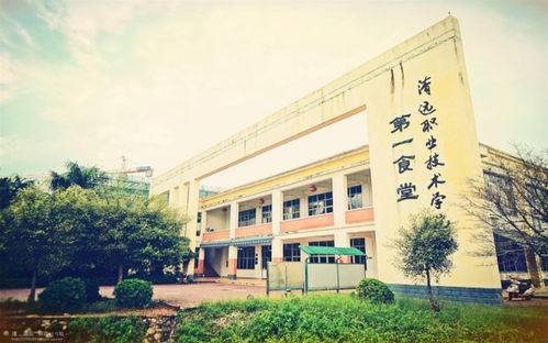 公办职业技术学校有哪些（公办职业技术学校有哪些幼师专业深圳招生）