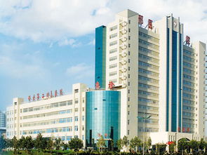 漯河医学高等专科学校(漯河医学高等专科学校第三附属医院) 漯河医学高等专科学校(漯河医学高等专科学校第三附属医院)