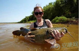 女人梦见好多鱼是胎梦吗:女人梦见好多鱼是胎梦吗?从科学到民俗的深度解析