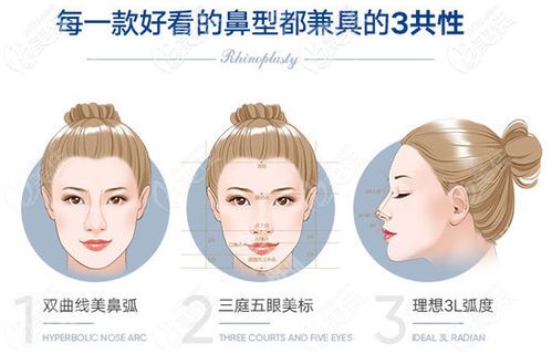 整形隆鼻费用:全面解析,整形隆鼻费用参考指南,你需要知道这些!