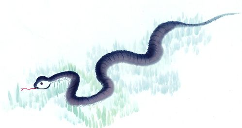 梦到被蛇咬了然后把蛇杀了：梦到被蛇咬了然后把蛇杀了，是预示危险还是内心渴望？