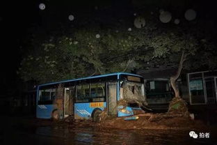 梦见洪水逃生：梦中的洪水，一场无声的逃生