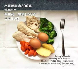 一岁半宝宝餐一周菜谱：一岁半宝宝餐一周菜谱，科学安排，健康美味两不误！