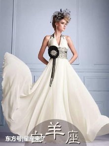 十二星座专属晚礼服：银河裁缝铺，十二星座专属晚礼服的星河密码