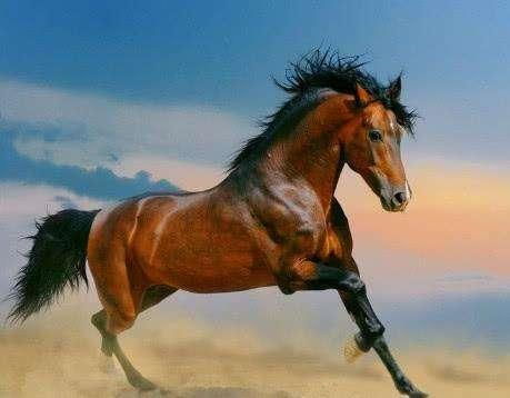 90属马人34岁才是大运：34岁是大运转折点！90属马人迎来人生黄金期，这3个关键期要把握