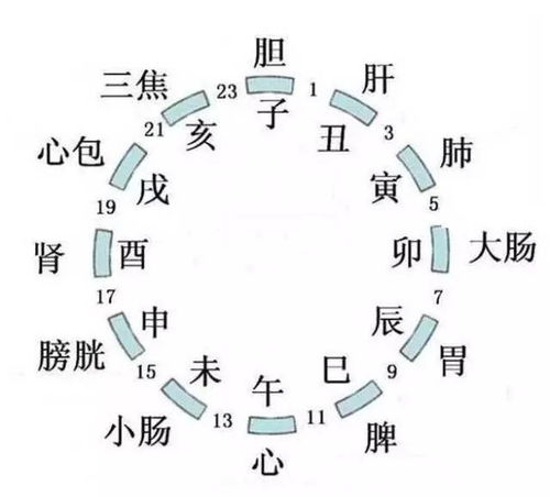 12时辰对照表图片：12时辰对照表图片，传统与实用的完美结合