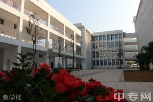 成都3+2大专学校排名（成都有哪些3十2大专学校是公办的）