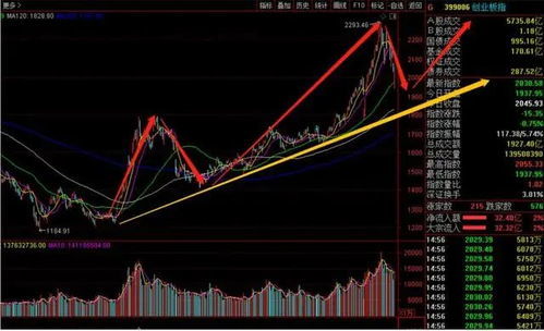 美股科技巨头拥抱AI医疗 QDII基金回补概念股