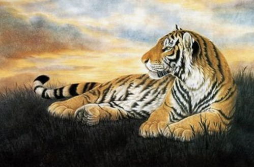 86年属虎38岁走大运：38岁属虎人迎来人生转折点，抓住这三大机遇，开启黄金十年