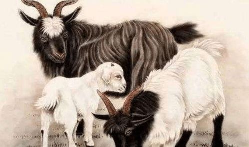 86年属虎38岁走大运：38岁属虎人迎来人生转折点，抓住这三大机遇，开启黄金十年