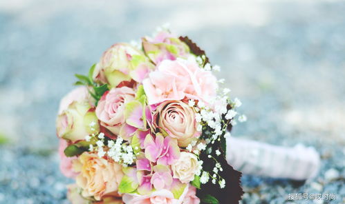 长兴11月份结婚吉日：长兴11月份结婚吉日推荐，红枫映衬喜结连理