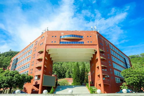 广州番禺职业技术学校2024年招生（广州番禺职业技术学院2021招生计划）