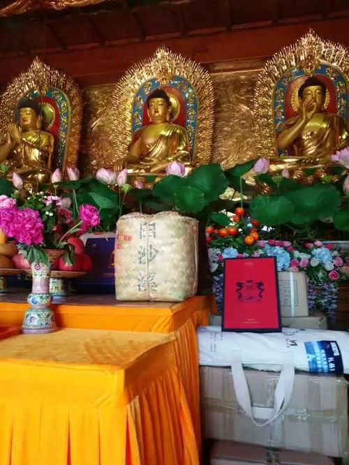 佛祖49号姻缘怎么样：佛祖49号姻缘怎么样？揭秘佛缘与姻缘的奇妙联系