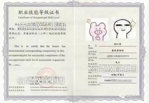 高考咨询（高考咨询师证书国家认可吗）