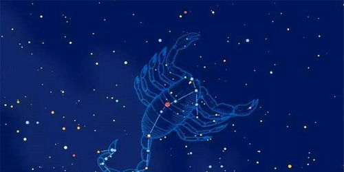 12月8日的星座是什么星座：12月8日出生的射手座，自由灵魂与人生指南