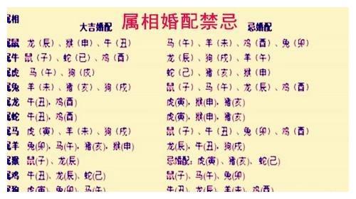 夫妻八字合不合查询表：夫妻八字合不合查询表，科学参考还是传统智慧？如何正确使用？