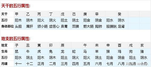 算婚期合八字：传统智慧与科学结合，如何通过合八字科学推算婚期