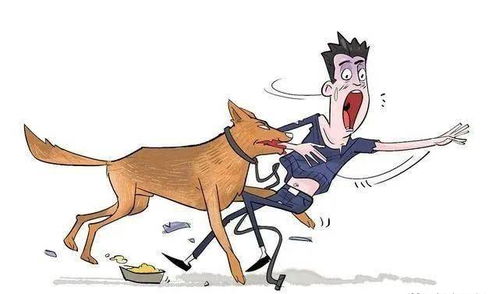 梦见被狗追着咬但没咬到:梦中被狗追赶却逃脱,解析潜意识中的焦虑与自我保护 梦见被狗追着咬但没咬到:梦中被狗追赶却逃脱,解析潜意识中的焦虑与自我保护