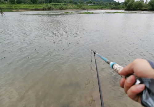 睾丸里面能摸到像豆粒一样的东西:睾丸内摸到像豆粒一样的东西?可能是这些原因!