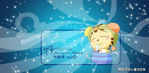 最适合做夫妻的星座配对 初一出生的女孩:初一出生的水瓶座女孩专属幸福指南,这三大星座才是你的灵魂拍档! 最适合做夫妻的星座配对 初一出生的女孩:初一出生的水瓶座女孩专属幸福指南,这三大星座才是你的灵魂拍档!