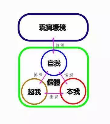 16型人格：解码16型人格，探索你的思维密码与职业发展指南