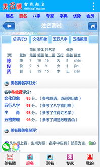 姓名测试打分美名腾网：姓名测试打分，如何利用美名腾网为人生起名？科学测算与运势提升指南