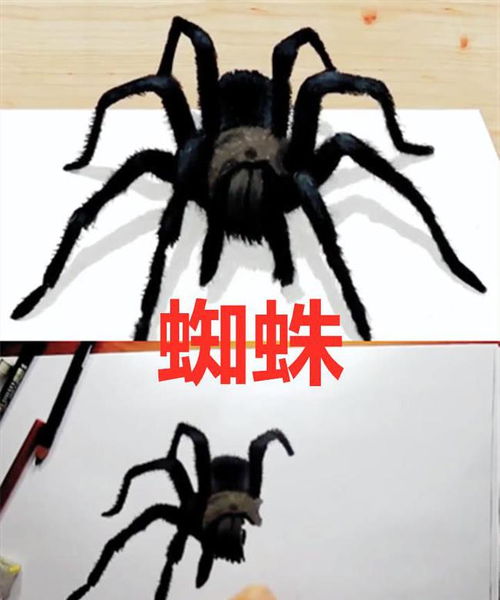 梦见蜘蛛咬自己的手:解密梦境,蜘蛛咬手背后的隐藏信息 梦见蜘蛛咬自己的手:解密梦境,蜘蛛咬手背后的隐藏信息