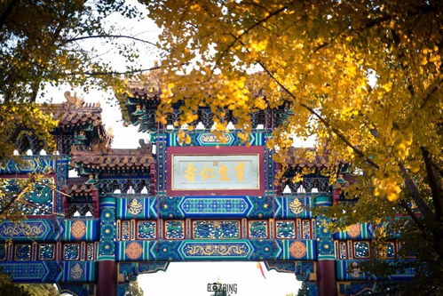 姻缘比较准的寺庙在哪里:姻缘有方,全国最灵验的姻缘寺庙全攻略