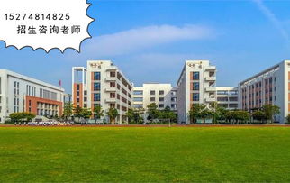 初中毕业读哪个职业学校好（初三考300多分能上什么学校）