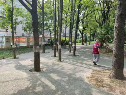 安康信说明书：安康信说明书，科学配方，守护全家健康